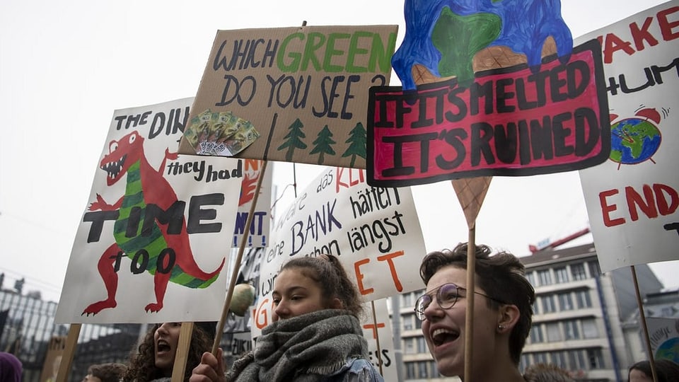Junge Menschen an einer Klimademo mit Schildern
