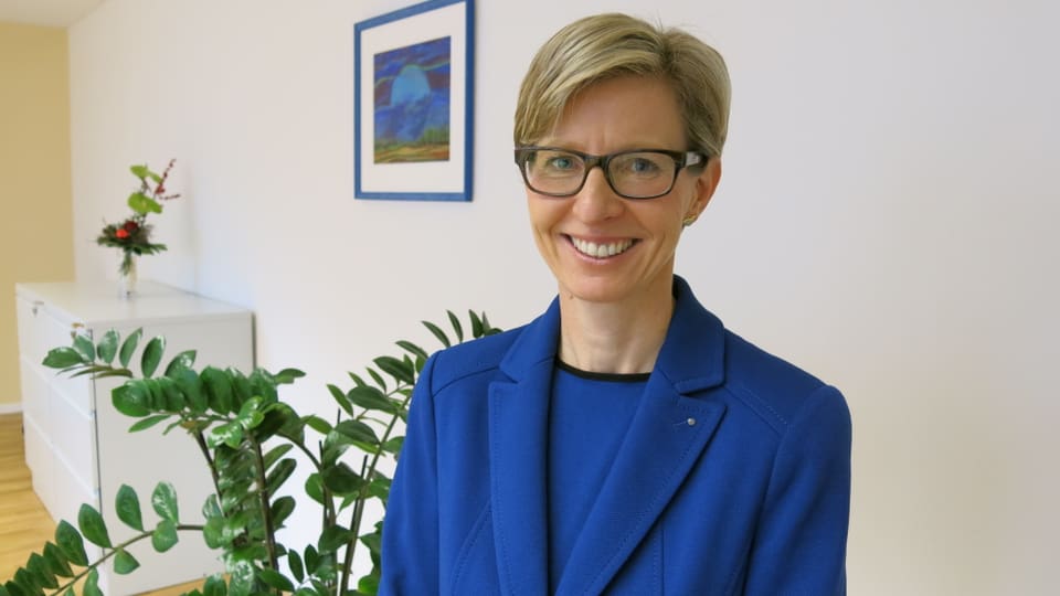 Viel Arbeit für Luzerner Ombudsfrau Lucia Schnider (28.4.2014)