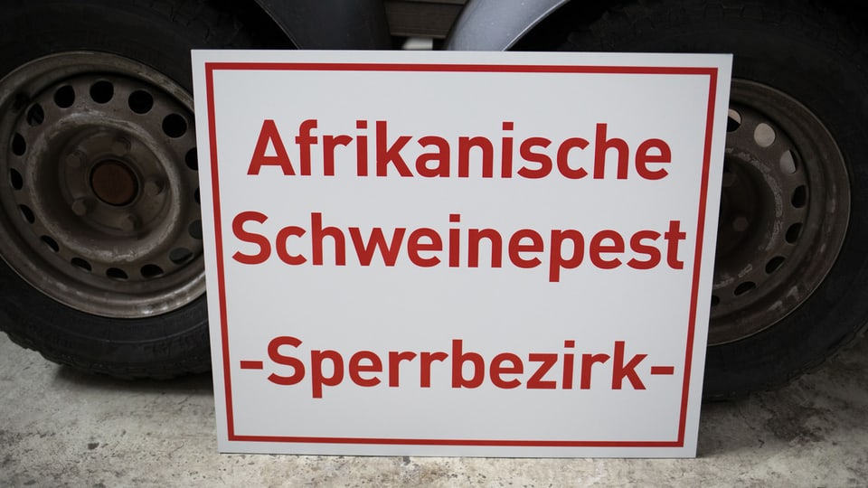 Ein Schild mit der Aufschrift: «Afrikanische Schweinepest – Sperrbezirk».