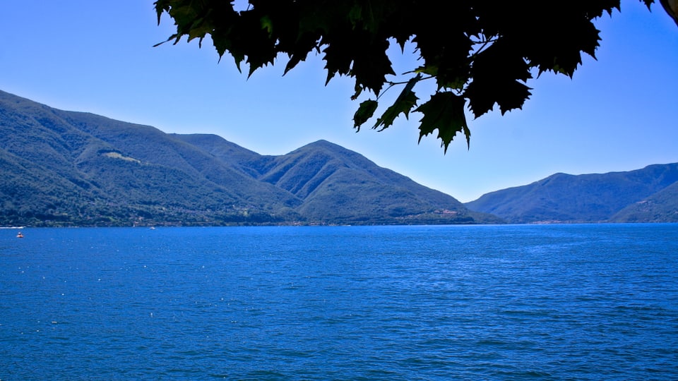 Bild von Ascona über den Lago Maggiore