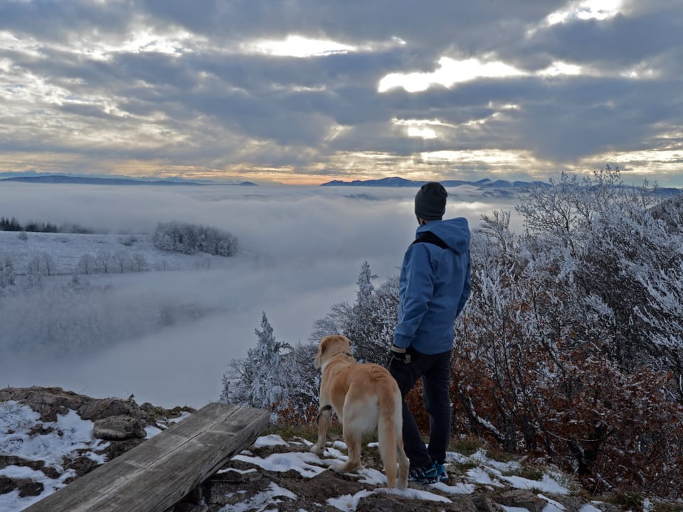 Ein Mann im blauen Anorak mit seinem Hund, blickt über den Hochnebel hinweg in Richtung Alpen.
