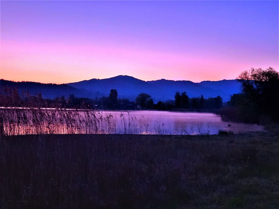 Schmerikon/SG Dawn at the lake.