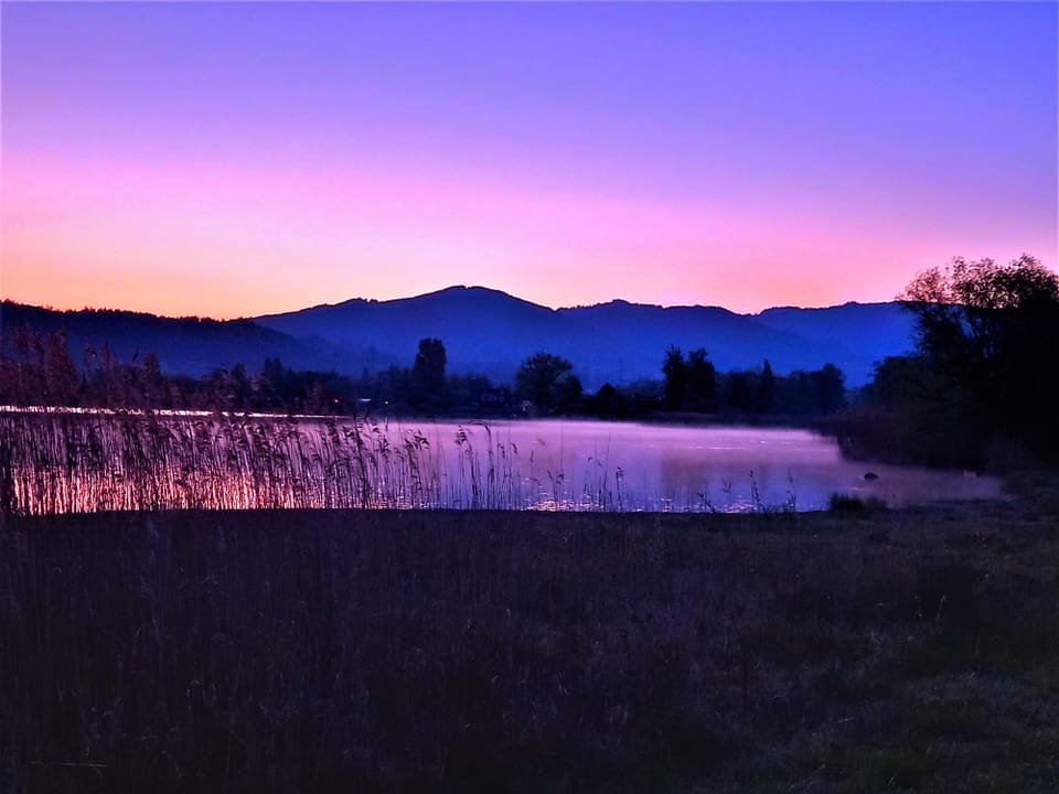 Morgendämmerung am See.