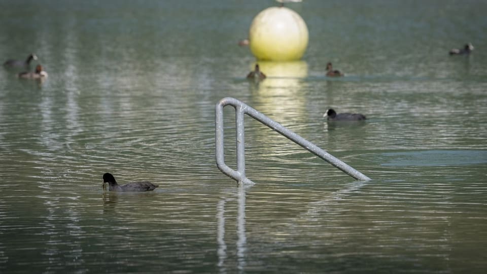 Hoher Wasserstand beim Bielersee.