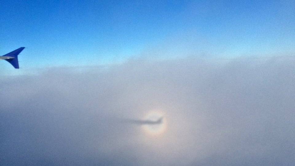 Blick vom Flugzeug auf eine Glorie im knapp tiefer liegenden Nebel.
