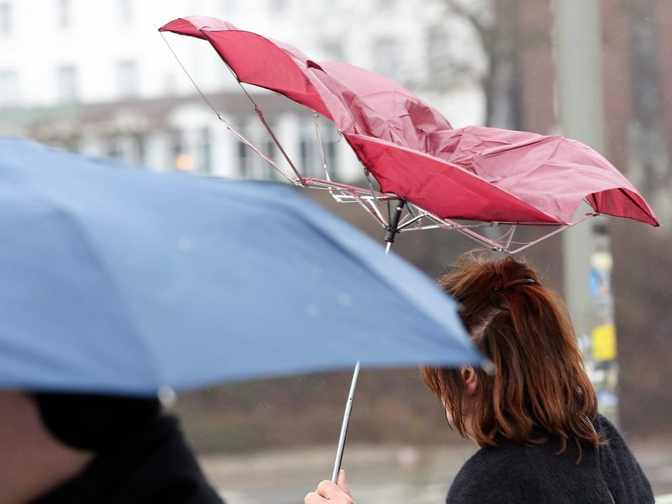 Leute mit vom Wind gezeichneten Regenschirmen