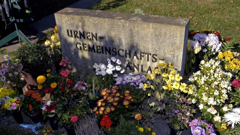 Grabstein eines Gemeinschaftsgrabes für Urnen mit üppiger Bepflanzung.