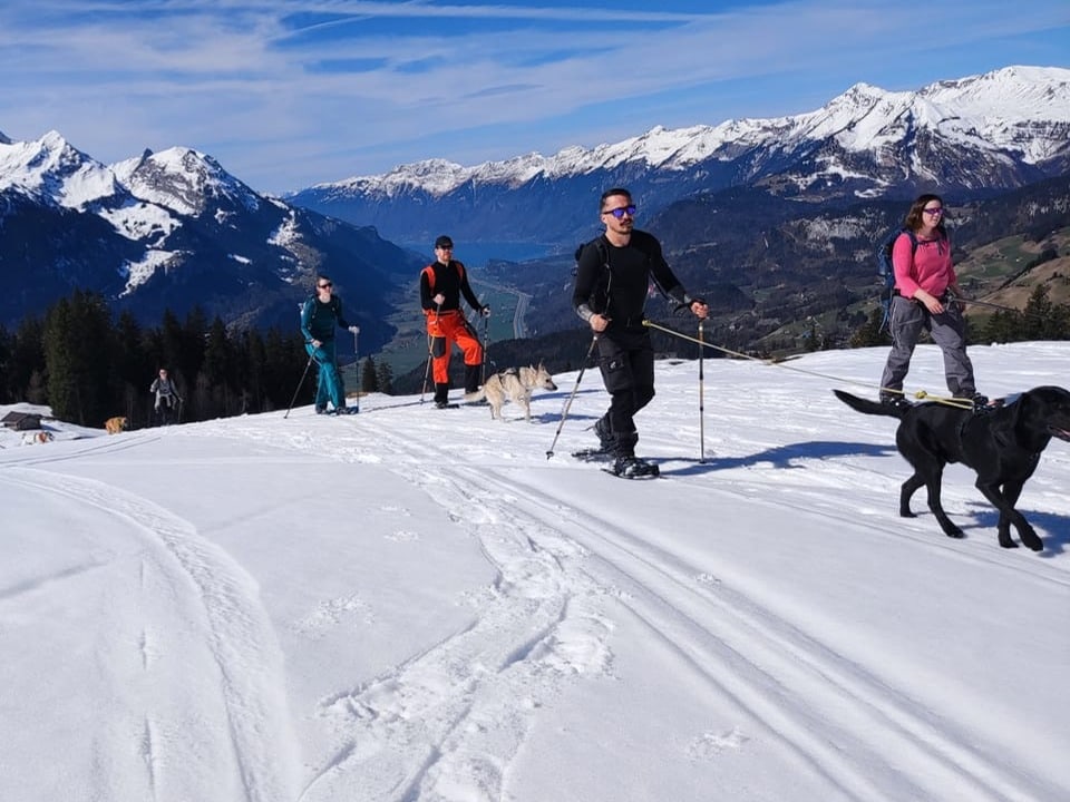 Schneeschuhwanderer mit Hunden im Schnee.
