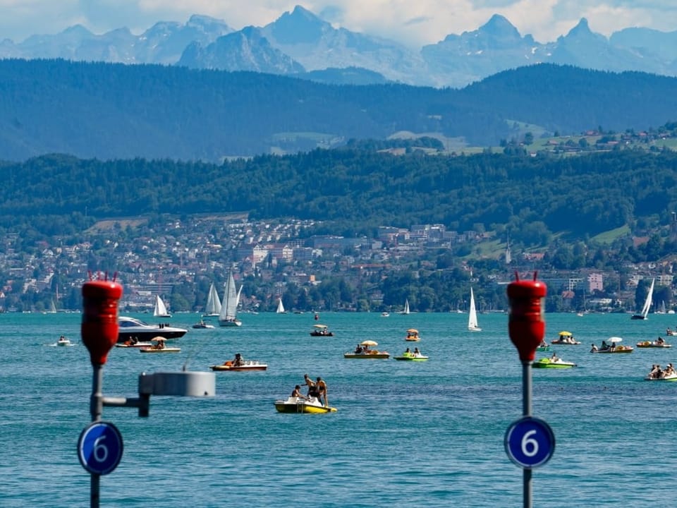 Blick auf Zürichsee mit vielen Segelschiffen und Bergen im Hintergrund