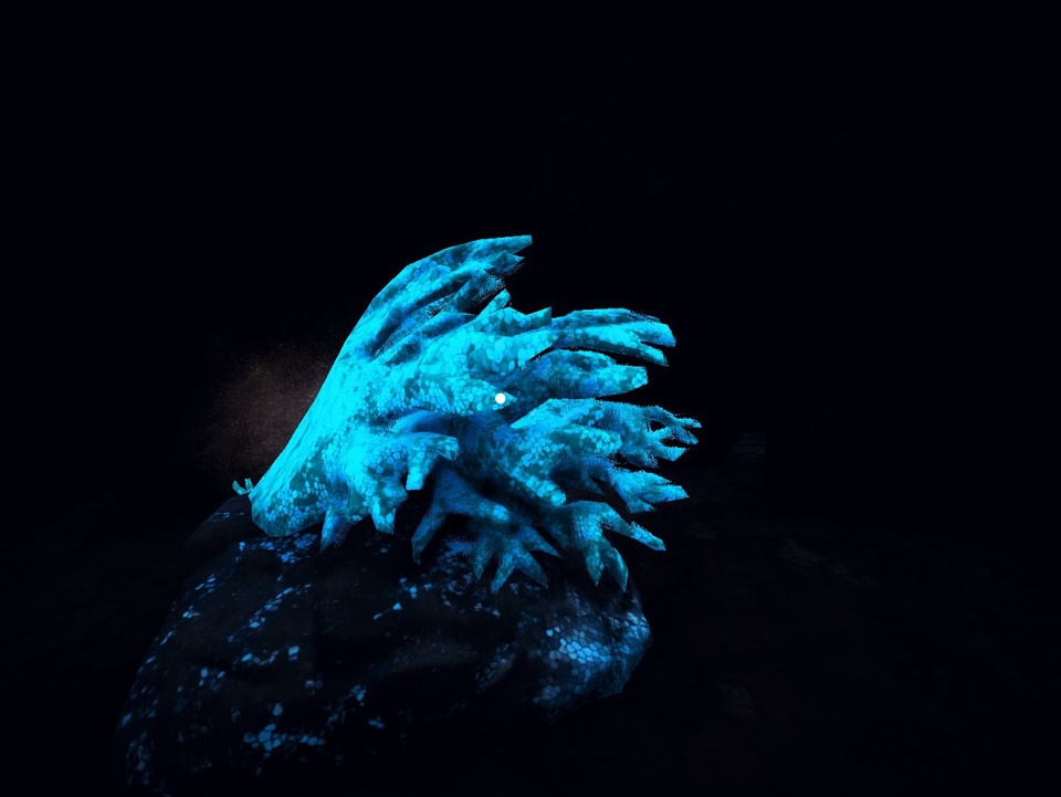 Aufgrund eines Grafikfehlers ist die Spielfigur nicht sichtbar - innerhalb von blauen Korallen.