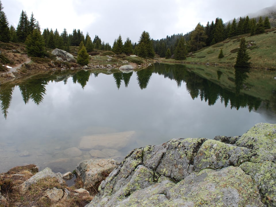 Landschaft spiegelt sich im Bergsee. Beim Lai Blos auf der Alp Flix. 