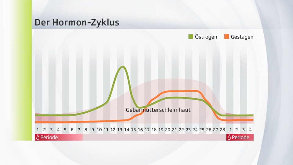 Langzeitzyklus mit der Pille Das Ende der Tage Wissen SRF