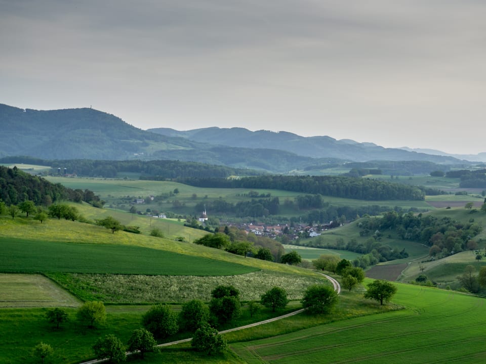 Blick über Hügellandschaft des Aargauer Juras mit Dorf in der Mitte des Bildes. 