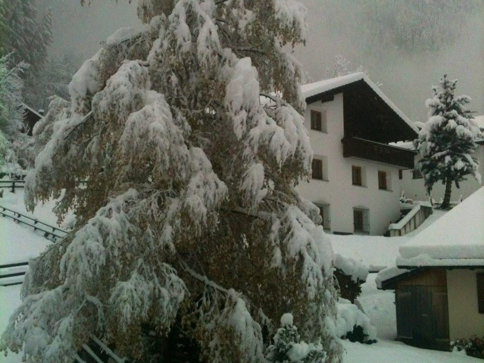 Ein Baum und Häuser unter einer dicken Schneedecke.