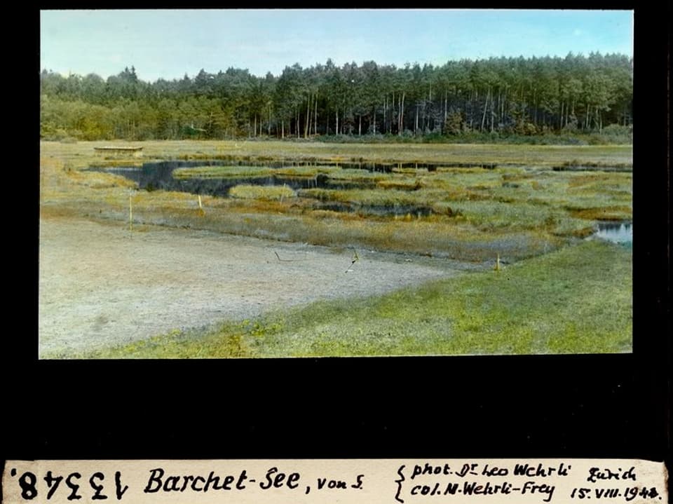 Historisches Foto des Barchet-Sees mit trockenem Uferrand und umgebendem Wald.