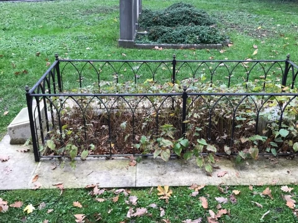 Das Grab von Jean Calvin ist umzäunt.
