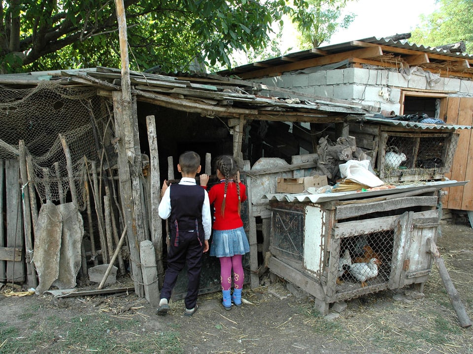 Zwei Kinder stehen vor einem Gehege, in dem Tiere untergebracht sind.