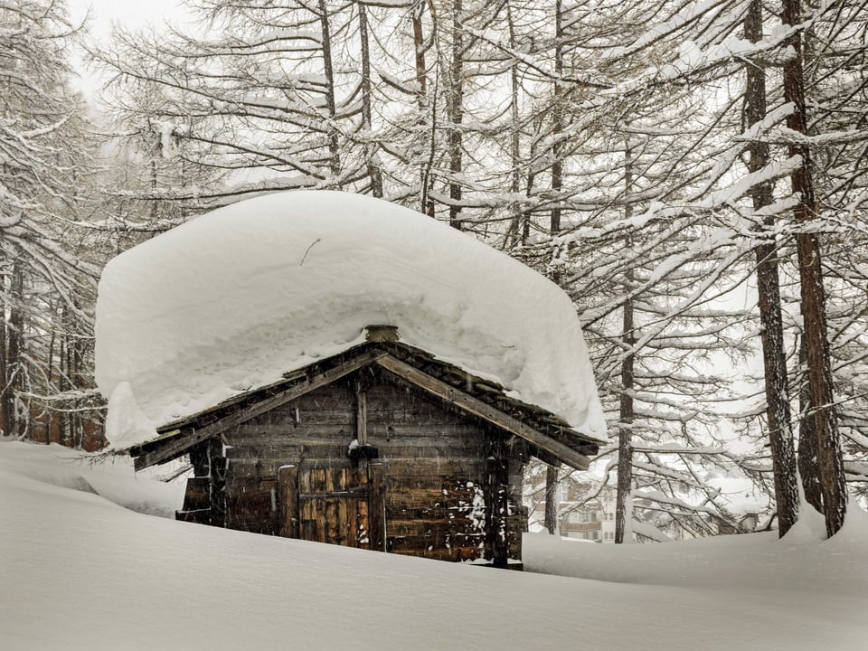 Ein kleiner Stall mit sehr viel Schnee auf dem Dach.
