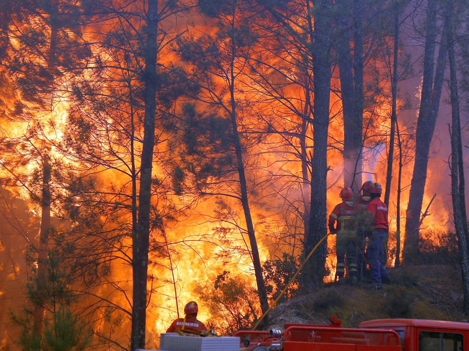 Feuerwehrleute bekämpfen die Feuerglut in einem brennenden Wald, Portugal Juni 2017.