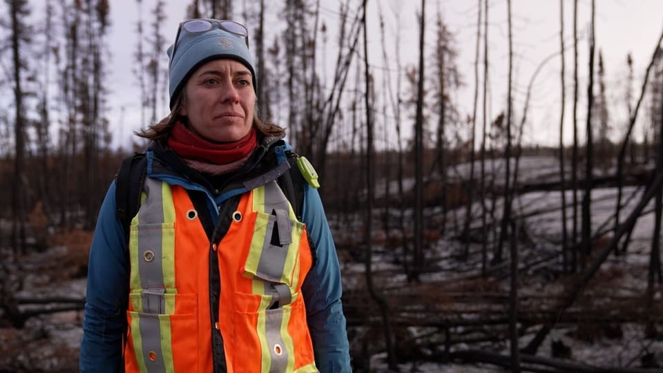 Frau mit Sicherheitsweste schaut an Kamera vorbei, verbrannte Bäume im Hintergrund