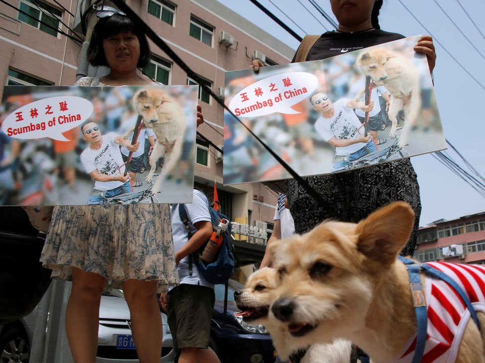 Chinesische Hundehalter mit Transparanten gegen den Verzehr von Hundefleisch