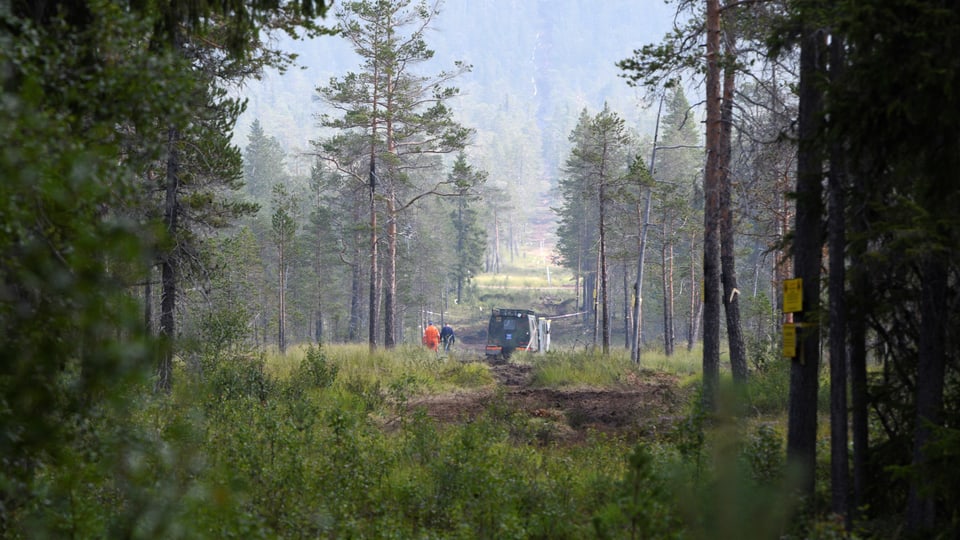 Arbeiten kreieren in einem schweidischen Wald eine Brandschneise, um die Ausbreitung der Feuer zu verhindern.