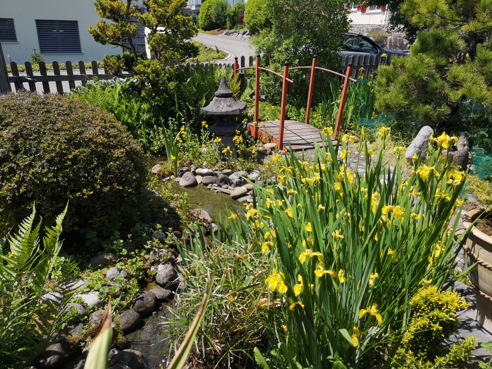 Ein Garten mit Biotop und kleiner Brücke.