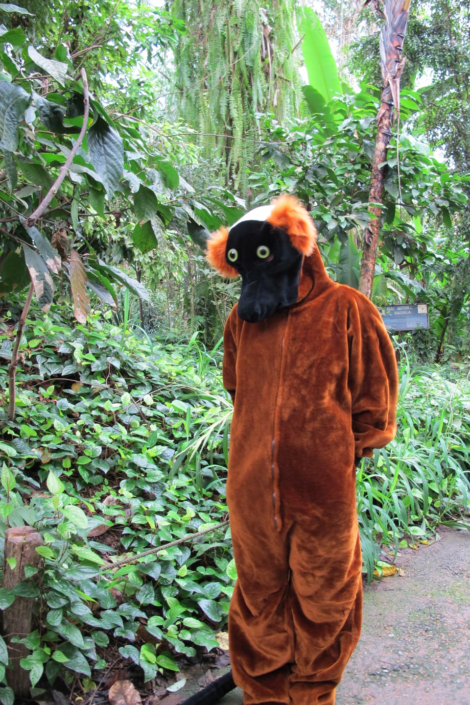 Das Regenwald-Maskottchen auf dem üblichen Pfad der Masoala-Halle.