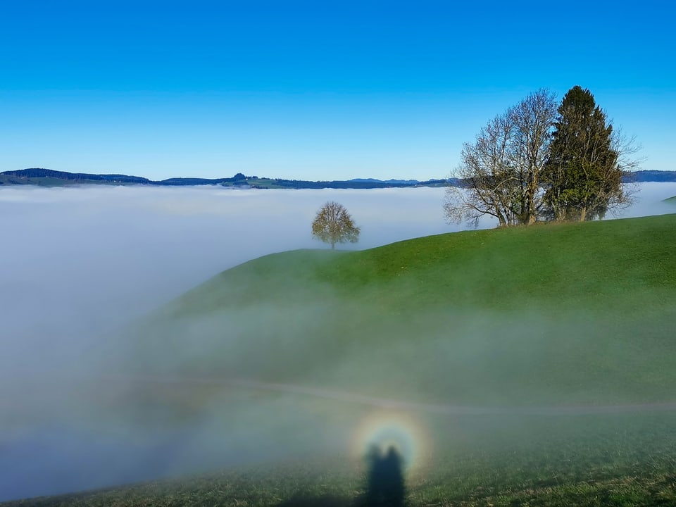 Goldiwil/BE Ein Schatten mit farbigem Ring.