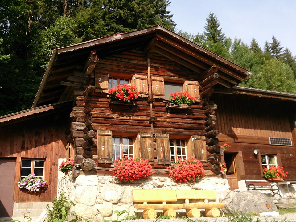 Ein Berner Oberländer Chalet mit Blumen geschmückten Fenstern.