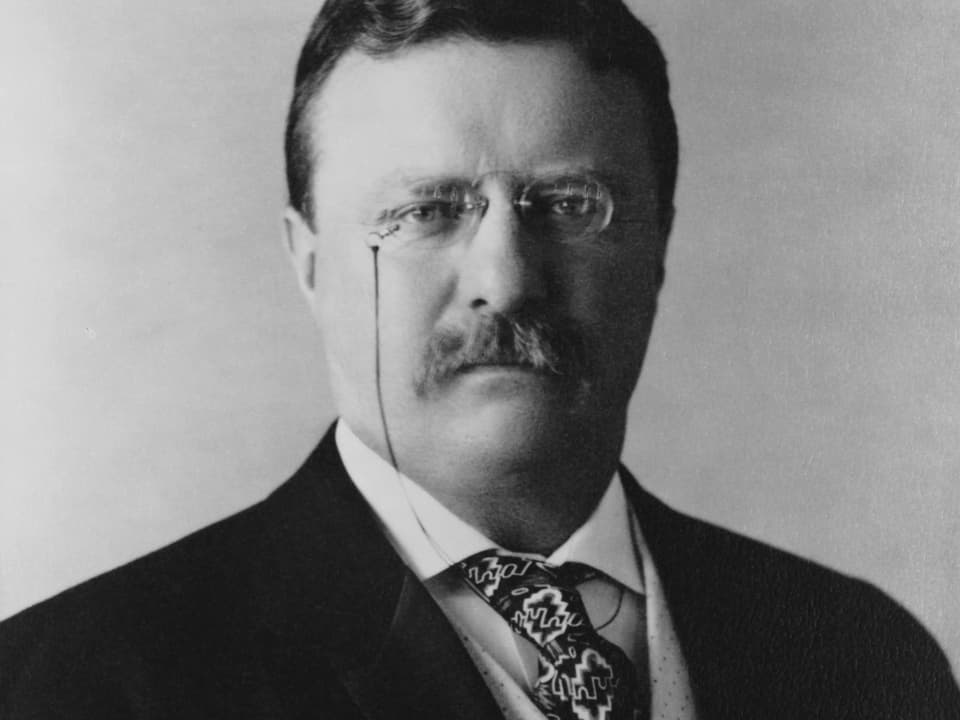 Portrait von Theodore Roosevelt.