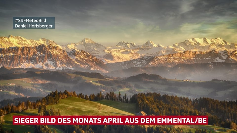Blick über Hügel und Wälder auf Schneeberge bei Sonnenuntergang