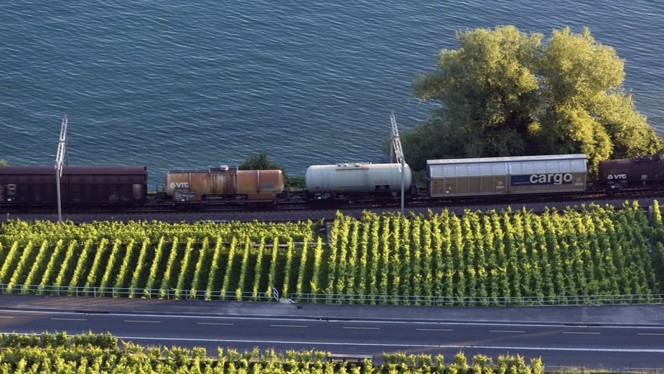 Güterzug fährt am Genferseeufer entlang