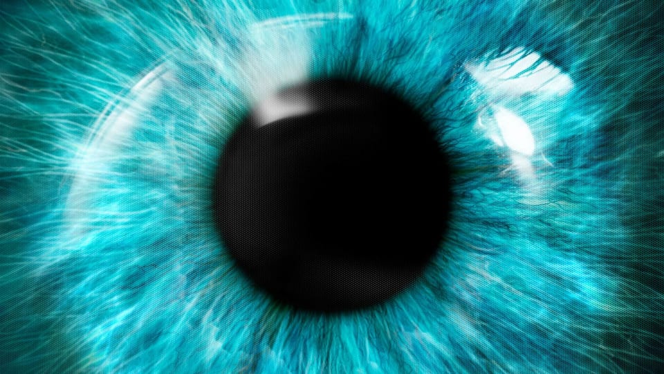 Nahaufnahme eines blauen Auges