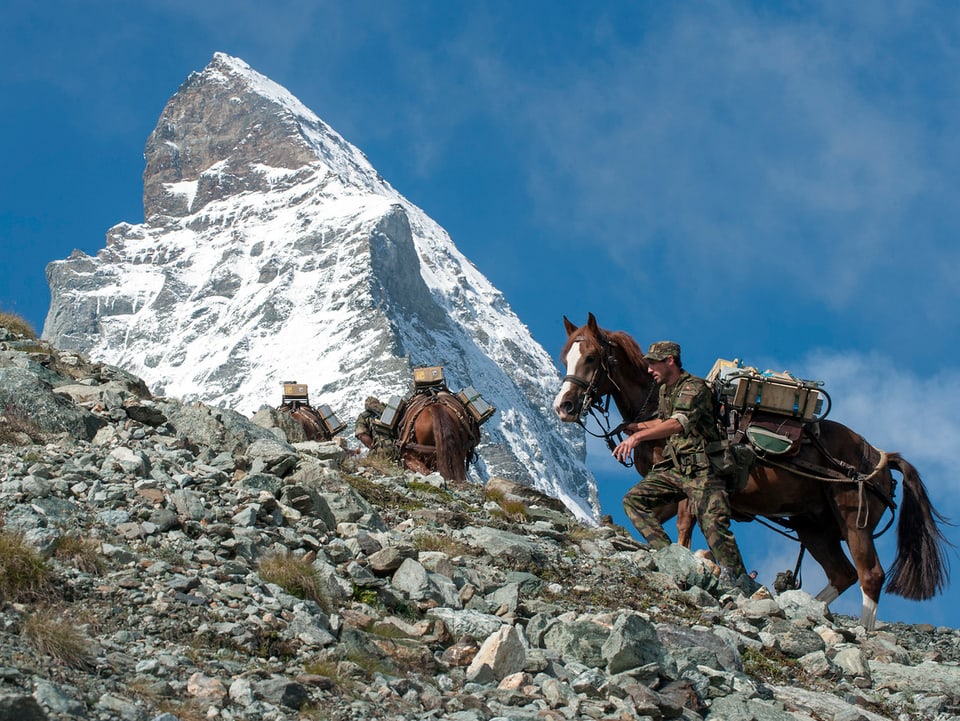 Soldaten mit Pferden auf dem Matterhorn.