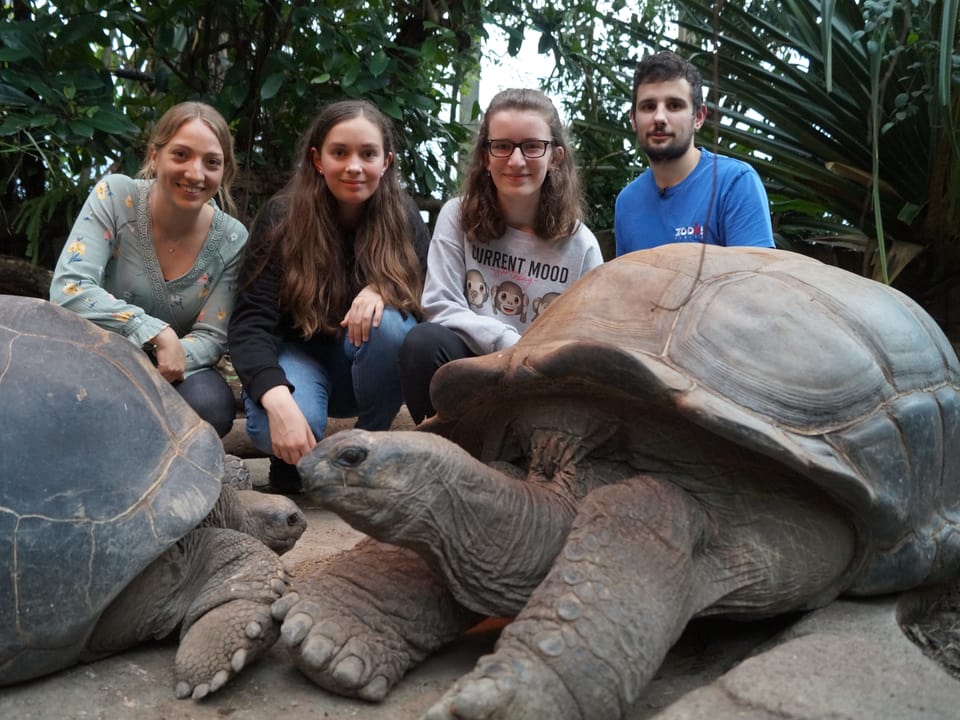 Anna, Lisa, Anastasia und Tierpfleger Chris Leiss mit Riesenschildkröten.