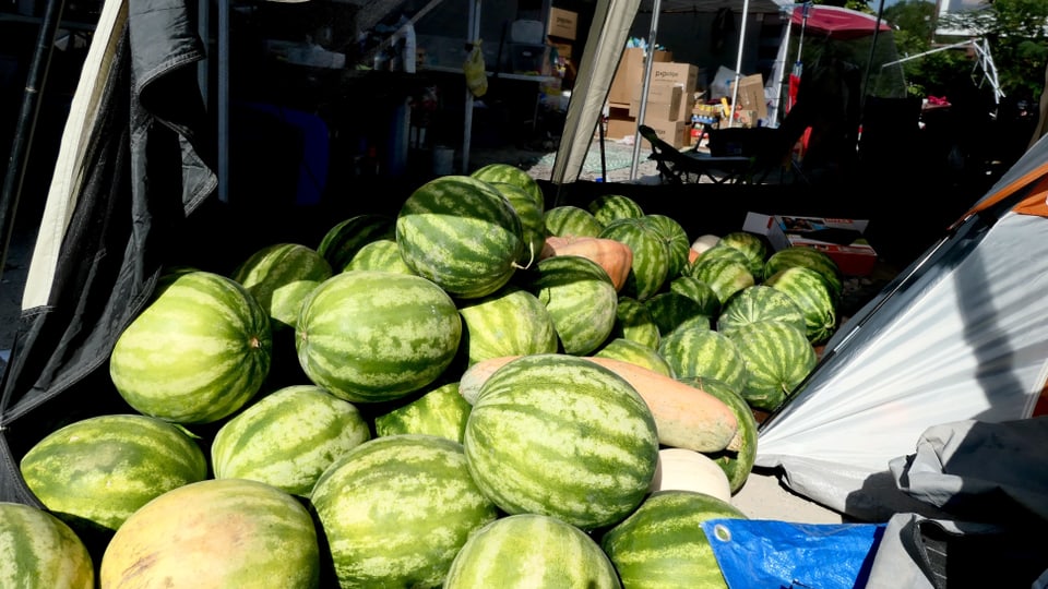Ein Haufen Wassermelonen