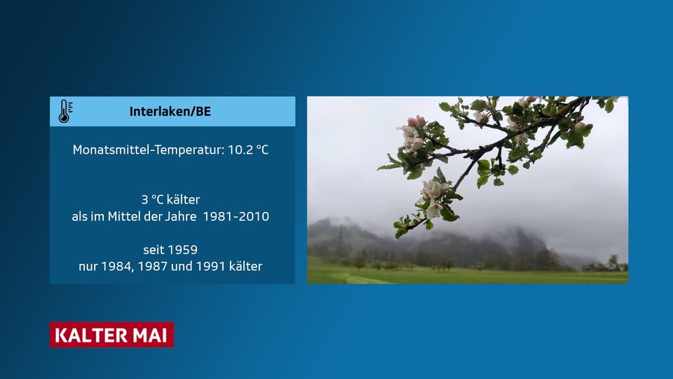 Kalter Mai, in Interlaken 3 Grad kälter als üblich.