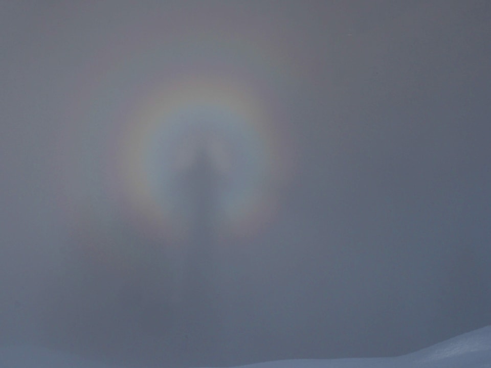 Nebel mit Schatten und farbigen Ringen um den Kopf.