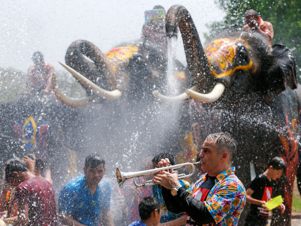 Trompeter am Songkran-Fest. Dahinter wasserspritzende Elefanten