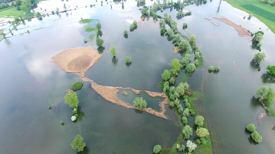 Aufnahme von überschwemmten Feldern bei Maschwanden von einer Drohne aus gesehen.