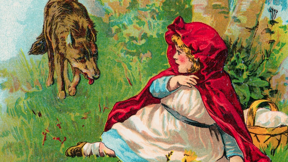 Rotkäppchen sitzt auf der Wiese. Der Wolf nähert sich ihr.