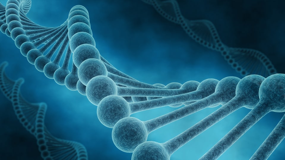 Schematische Darstellung eines DNA-Strangs.