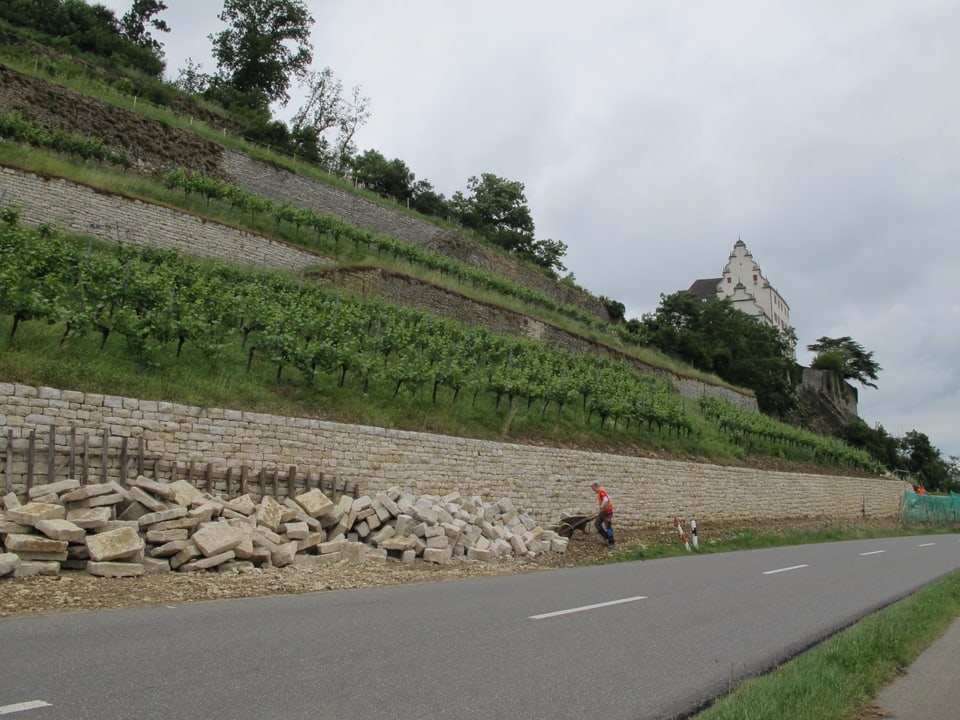 Die Trockenmauern ermöglichen eine Terrassierung des Hanges, was wiederum den Anbau von Weinreben erlaubt. 