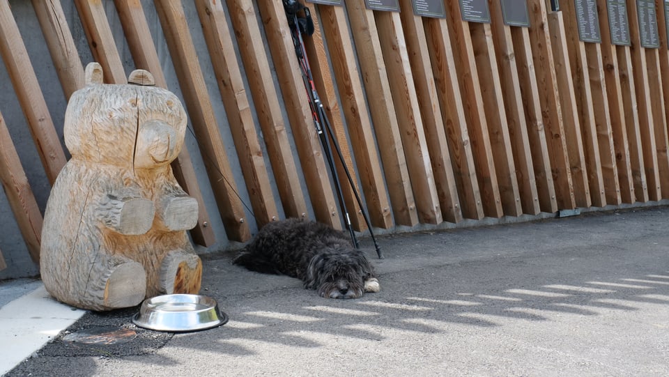 Ein Holzbär, daneben ein Hund am schlafen