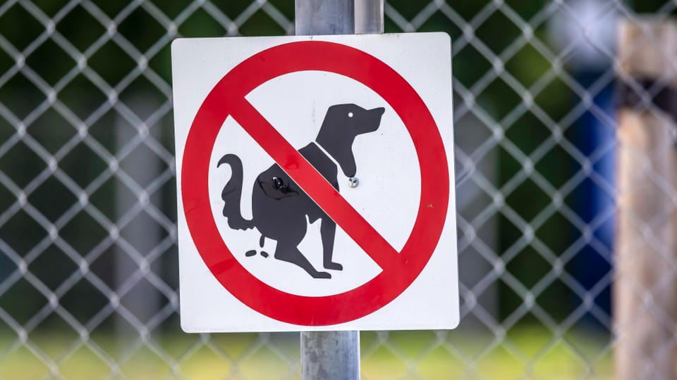 Verbotsschild: Hunde dürfen hier nicht ihr Geschäft verrichten.