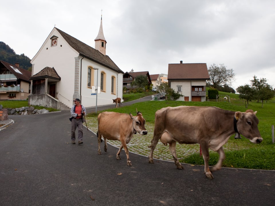 Bauer Rüegg und zwei seiner Kühe auf der Strasse. Im Hintergrund sieht man die Dorfkirche.