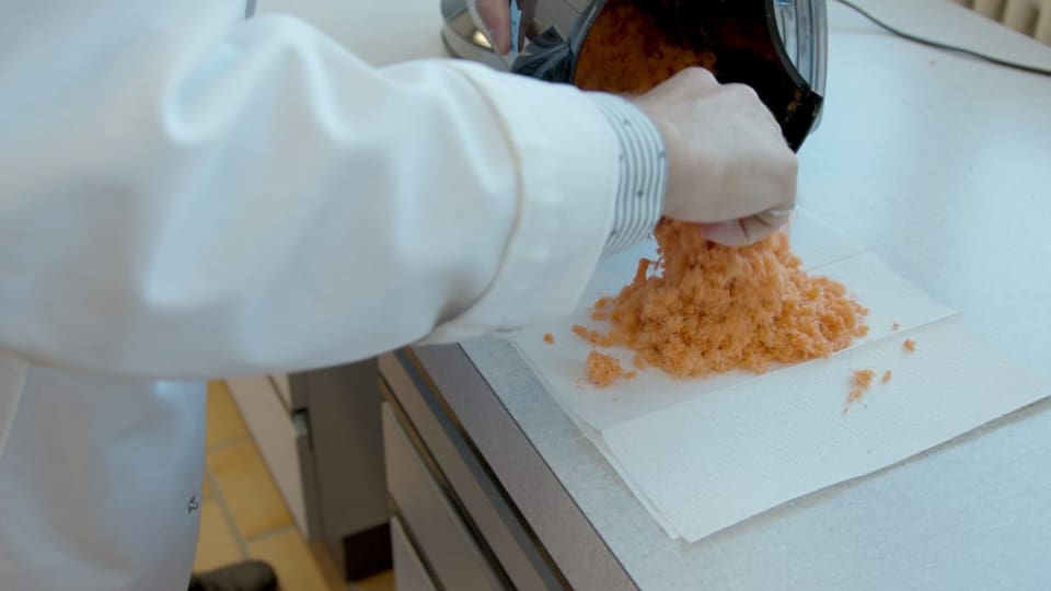 Karotten-Schalen nach dem Entsaften.
