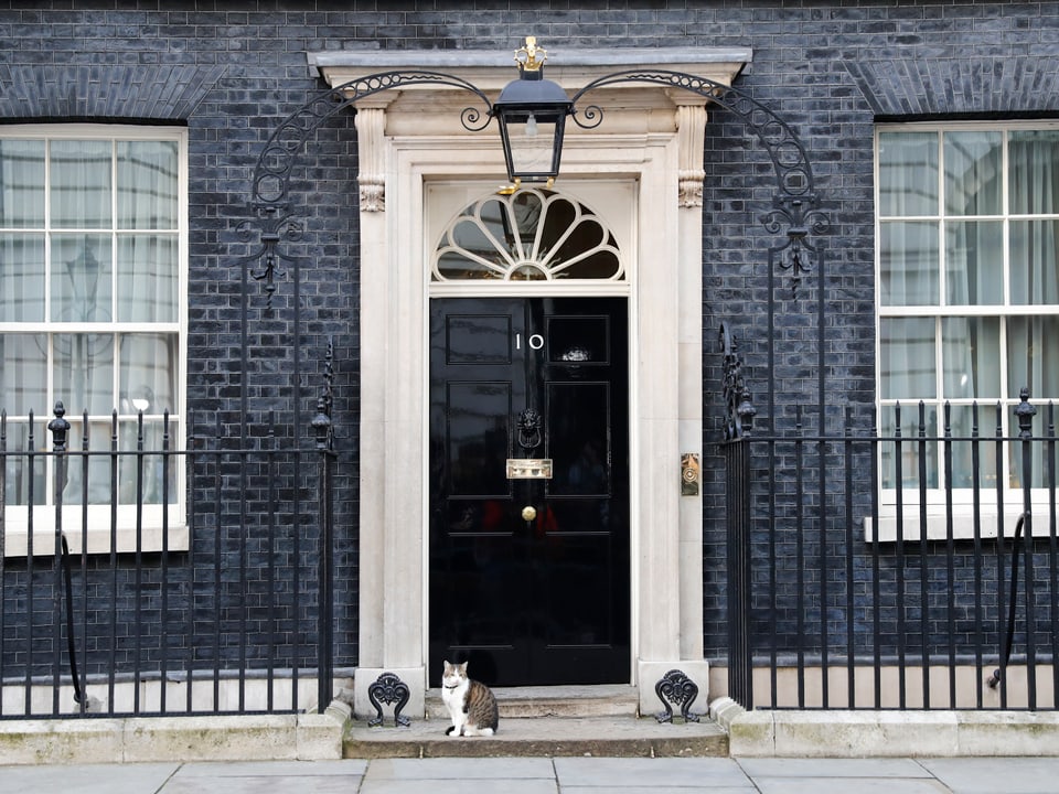Eingang zur 10, Downing Street ,mit einer Katze auf der Schwelle. 