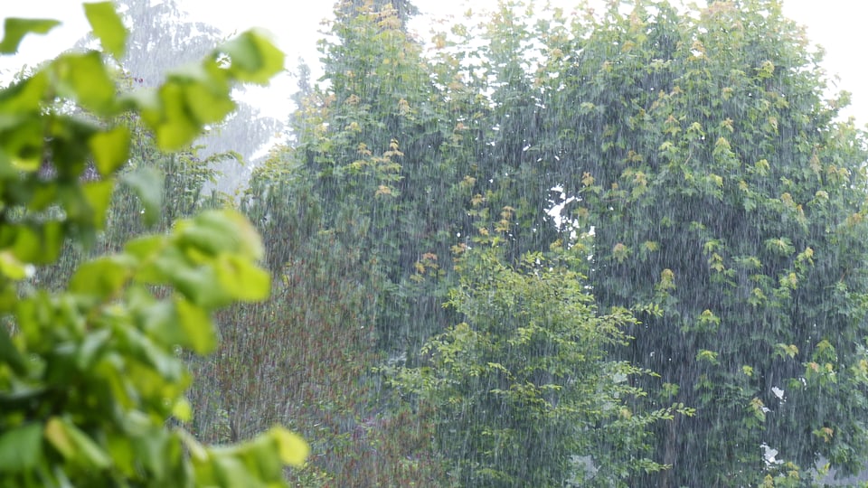 Vor allem in der Ostschweiz regnete es zum Teil wie aus Kübeln, so auch in Frauenfeld am 20. Juni.